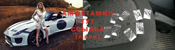 индика Медвежьегорск