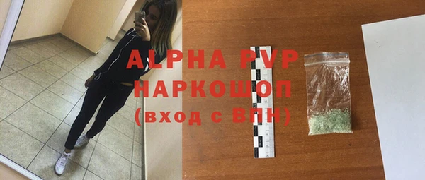 индика Медвежьегорск
