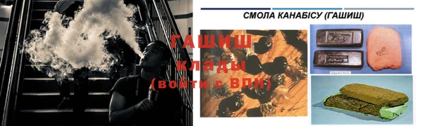 стаф Медногорск
