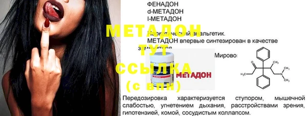 индика Медвежьегорск