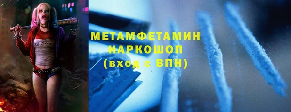 индика Медвежьегорск