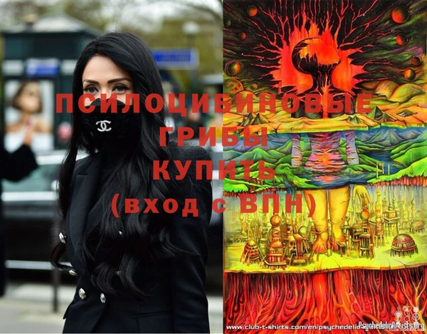 стаф Медногорск