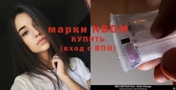 индика Медвежьегорск
