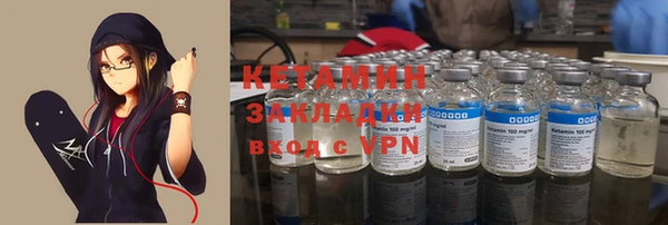 индика Медвежьегорск