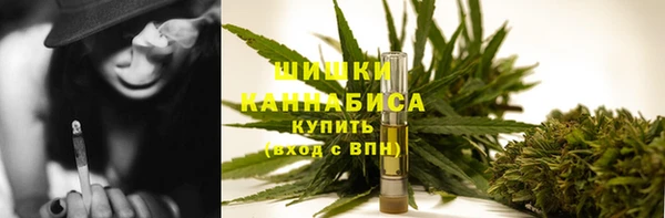 индика Медвежьегорск
