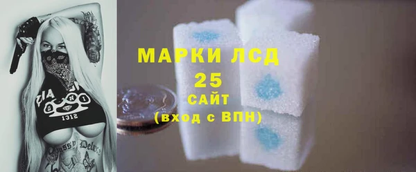 индика Медвежьегорск