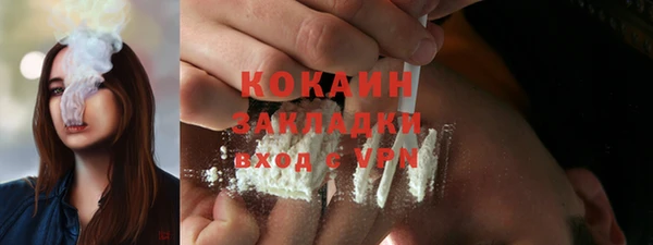 шишки Анива