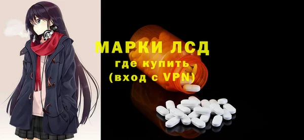 стаф Медногорск
