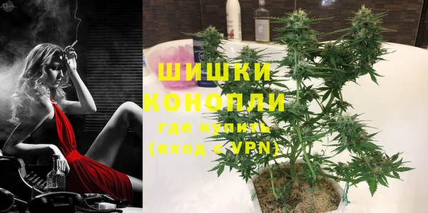 стаф Медногорск