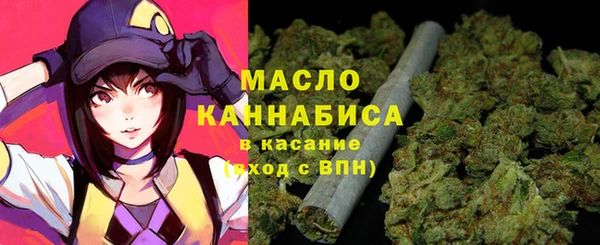 стаф Медногорск