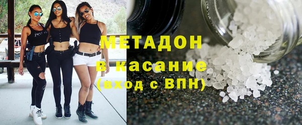шишки Анива