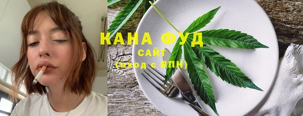 стаф Медногорск
