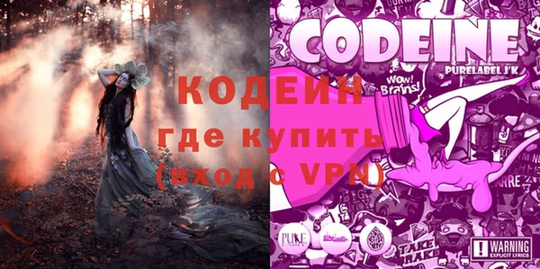 индика Медвежьегорск